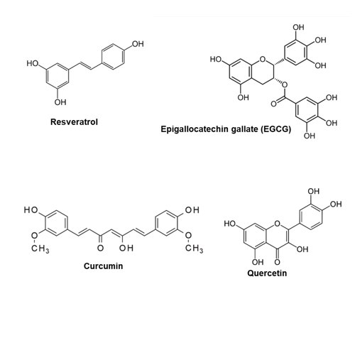 Natural Phenolic Compounds Targeting The AMPK Activation For Metabolic Health